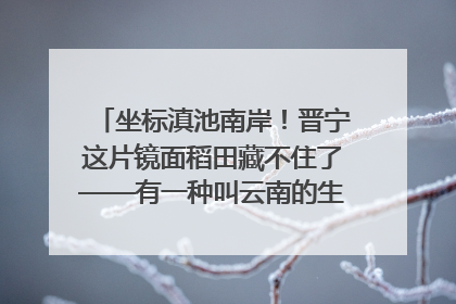 坐标滇池南岸！晋宁这片镜面稻田藏不住了——有一种叫云南的生活之365天