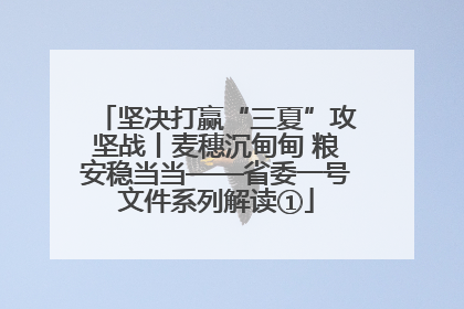 坚决打赢“三夏”攻坚战丨麦穗沉甸甸 粮安稳当当——省委一号文件系列解读①