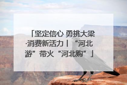 坚定信心 勇挑大梁·消费新活力丨“河北游”带火“河北购”