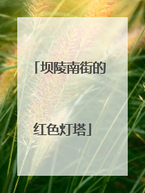 坝陵南街的红色灯塔