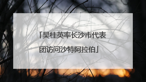 吴桂英率长沙市代表团访问沙特阿拉伯