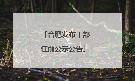 合肥发布干部任前公示公告