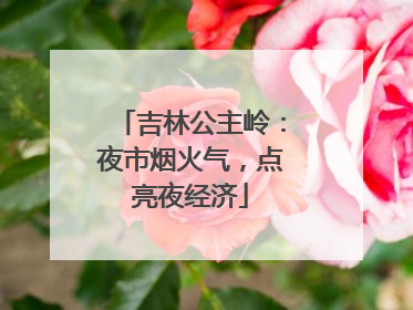 吉林公主岭：夜市烟火气，点亮夜经济