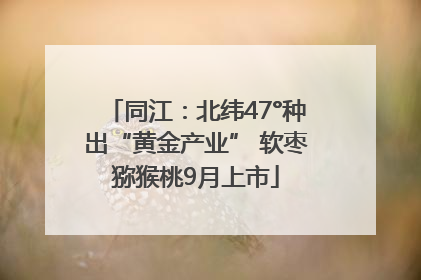 同江：北纬47°种出“黄金产业” 软枣猕猴桃9月上市