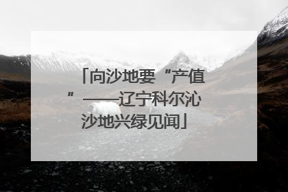 向沙地要“产值”——辽宁科尔沁沙地兴绿见闻