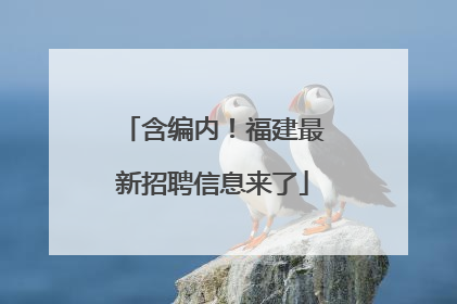 含编内！福建最新招聘信息来了