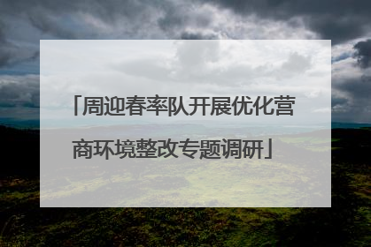 周迎春率队开展优化营商环境整改专题调研