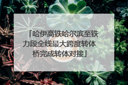 哈伊高铁哈尔滨至铁力段全线最大跨度转体桥完成转体对接