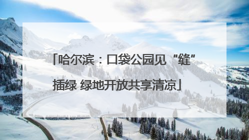 哈尔滨：口袋公园见“缝”插绿 绿地开放共享清凉