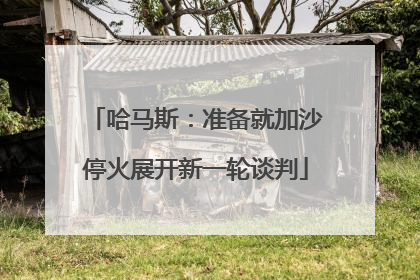 哈马斯：准备就加沙停火展开新一轮谈判