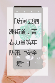 唐河县泗洲街道：青春力量筑牢防汛“安全堤”