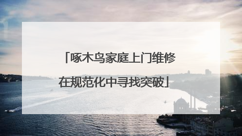 啄木鸟家庭上门维修在规范化中寻找突破