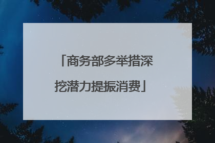 商务部多举措深挖潜力提振消费