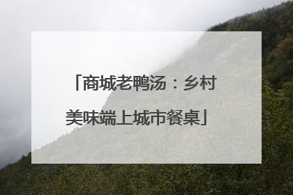商城老鸭汤：乡村美味端上城市餐桌