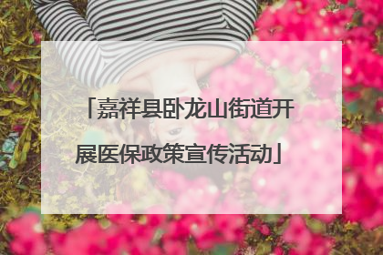 嘉祥县卧龙山街道开展医保政策宣传活动