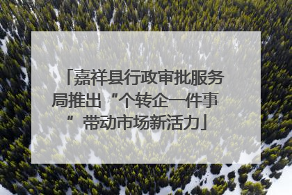 嘉祥县行政审批服务局推出“个转企一件事”带动市场新活力
