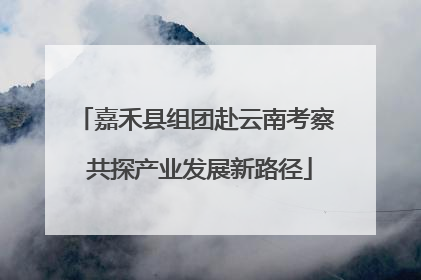 嘉禾县组团赴云南考察 共探产业发展新路径