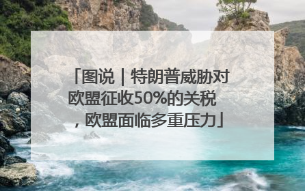 图说｜特朗普威胁对欧盟征收50%的关税，欧盟面临多重压力