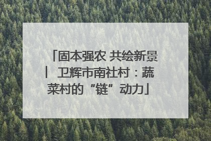 固本强农 共绘新景 ︳卫辉市南社村：蔬菜村的“链”动力