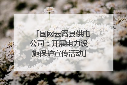 国网云霄县供电公司：开展电力设施保护宣传活动
