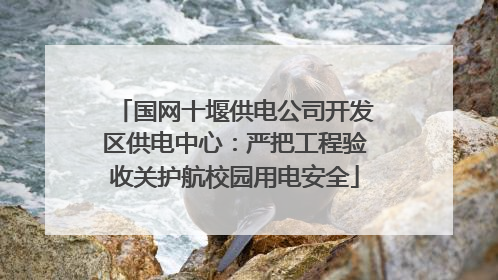 国网十堰供电公司开发区供电中心：严把工程验收关护航校园用电安全