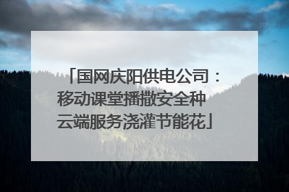国网庆阳供电公司：移动课堂播撒安全种 云端服务浇灌节能花
