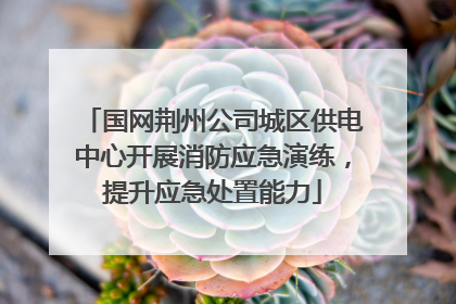 国网荆州公司城区供电中心开展消防应急演练，提升应急处置能力