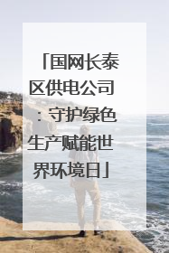 国网长泰区供电公司：守护绿色生产赋能世界环境日