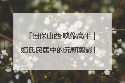 国保山西·映像高平｜姬氏民居中的元朝剪影