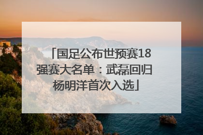 国足公布世预赛18强赛大名单：武磊回归 杨明洋首次入选