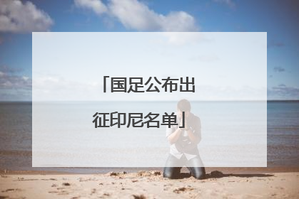 国足公布出征印尼名单