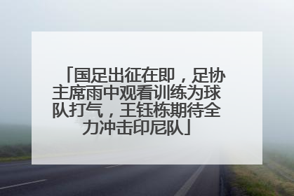 国足出征在即，足协主席雨中观看训练为球队打气，王钰栋期待全力冲击印尼队
