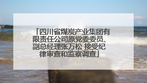 四川省煤炭产业集团有限责任公司原党委委员、副总经理张万松 接受纪律审查和监察调查