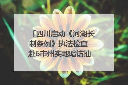 四川启动《河湖长制条例》执法检查 赴6市州实地暗访抽查｜四川人大之声