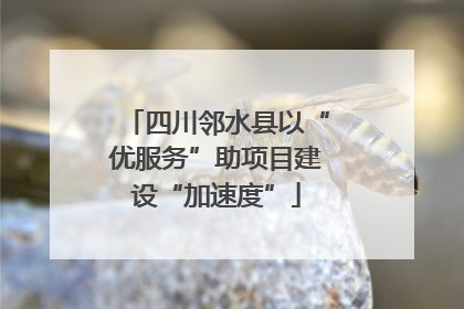 四川邻水县以“优服务”助项目建设“加速度”