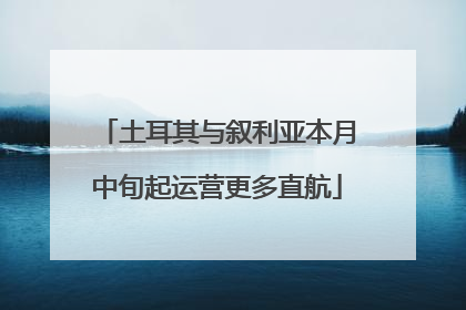 土耳其与叙利亚本月中旬起运营更多直航