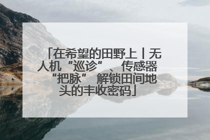 在希望的田野上丨无人机“巡诊”、传感器“把脉” 解锁田间地头的丰收密码