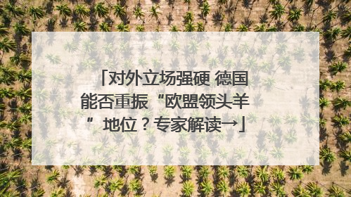 对外立场强硬 德国能否重振“欧盟领头羊”地位？专家解读→