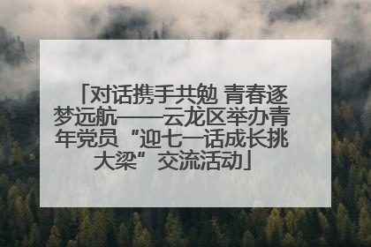 对话携手共勉 青春逐梦远航——云龙区举办青年党员“迎七一话成长挑大梁”交流活动