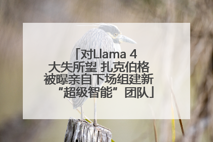 对Llama 4大失所望 扎克伯格被曝亲自下场组建新“超级智能”团队