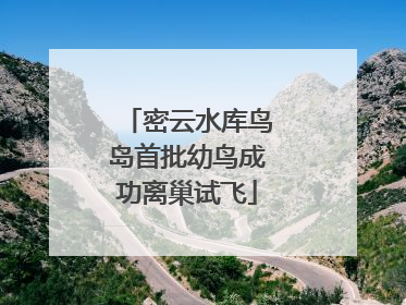 密云水库鸟岛首批幼鸟成功离巢试飞