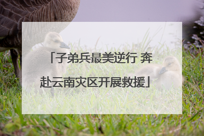 子弟兵最美逆行 奔赴云南灾区开展救援