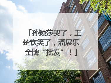 孙颖莎哭了，王楚钦笑了，潘展乐金牌“批发”！