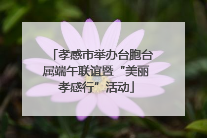 孝感市举办台胞台属端午联谊暨“美丽孝感行”活动