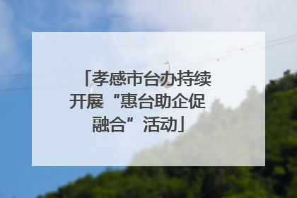 孝感市台办持续开展“惠台助企促融合”活动
