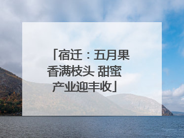 宿迁：五月果香满枝头 甜蜜产业迎丰收