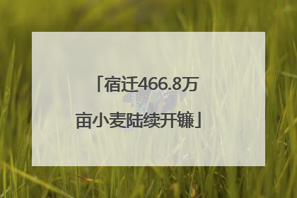 宿迁466.8万亩小麦陆续开镰