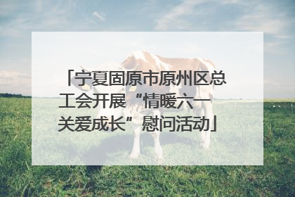 宁夏固原市原州区总工会开展“情暖六一 关爱成长”慰问活动