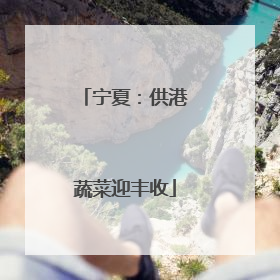 宁夏：供港蔬菜迎丰收