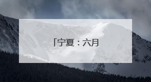 宁夏：六月头茬枸杞红